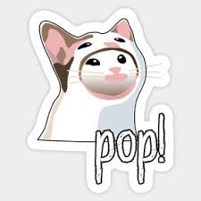 Trevor moore, star of u.s. Pop Cat Meme Pop Cat Oreiller Teepublic Fr