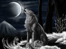 Wolf Backgrounds Free Download Pixelstalk Net ❤ get the best lobo wallpapers on wallpaperset. wolf backgrounds free download
