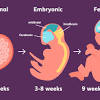 Adding a prenatal multivitamin to your daily routines is an important step in providing nutritional support for pregnant women and babies throughout. 1