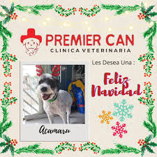 Clínica Veterinaria Premier Can