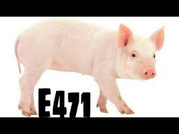 ©2021 halal or haram q&a terms & privacy. Don T Eat Food In Which E471 Code Has Been Used Youtube