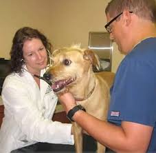 Simplify everything caring for a pet so deeply is an adventure. Westgate Pet Clinic 15 Photos 28 Reviews Veterinarians 4345 France Ave S Minneapolis Mn United States Phone Number