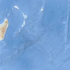 Image result for Doellia cafra