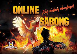 Maximize Winnings Sabong International