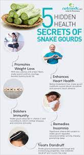 We did not find results for: 5 Fantastic Health Benefits Of Adding Snake Gourd To Daily Diet Infographic