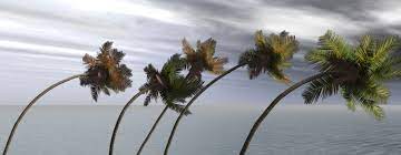 Causes Of Global Warming Saving Earth Encyclopedia Britannica