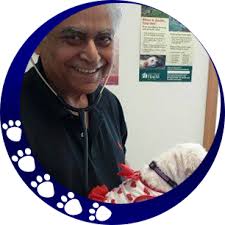 We envision a future where all pets are happy, healthy, and living with families whose lives they enrich. Affordable Animal Hospital Veterinarian Tacoma Wa