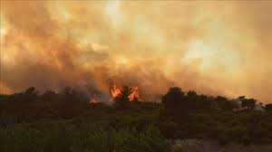 Maybe you would like to learn more about one of these? Incendios Forestales En Canada Forzaron Evacuacion De 10 000 Personas