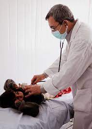 Salary estimates based on salary survey data collected directly from. Pediatrician Salary Doctor Salaries