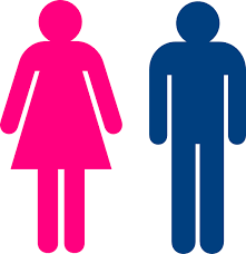 Male female bathroom toilet symbols. Public Toilet Male And Female Signs Boy And Girl Symbol Female Symbol