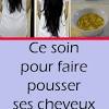 Huîtres, lentilles, germes de blé, foie de veau. 1