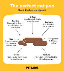 Guide To Healthy Cat Poos How Often Do Cats Poo Petbarn
