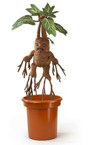 Harry Potter Interactive Plush Mandrake By The Noble Collection Barnes Noble