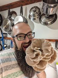 Mushroom Growing For Beginners & Experts
