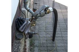 Image result for Anadelphia