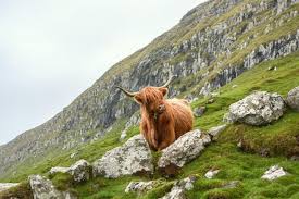 Schotland, land van de highland games, stoere mannen in kilts, whisky, loch ness, doedelzakken en haggis. Tips En Ervaringen Voor Rijden En Een Auto Huren In Schotland