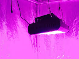 Newest Best High Yield Hydroponics 600watt 300watt 1000watt Led Grow Light For Tomato China Grow Light Led Grow Light Made In China Com