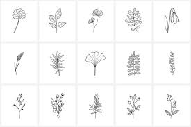 Hand Drawn Flowers Set Png Flowers Vector Floral Ornament Etsy In 2020 Hand Drawn Flowers Flower Drawing Line Illustration