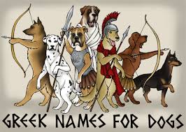 One of the male witch names appearing in 'the four branches of the mabinogi'. 101 Male Greek God Names That Make Cool Dog Names Pethelpful
