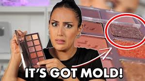 PROFUSION SIENNAS REVIEW