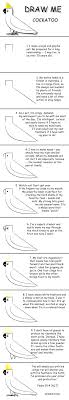 Draw And Learn Cockatoo Drawing Lessons For Kids Drawing For Kids Easy Drawings
