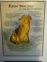 The Rottweiler No 24