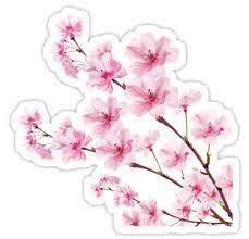 Pin On Stickers