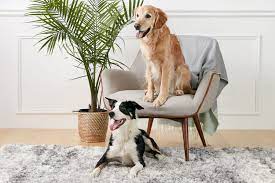 Check spelling or type a new query. How To Train Your Dog To Live With Another Dog