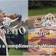 Mionetto Paint by Numbers event image