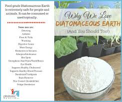 When Added To Feed Your Horse Will Get The Benefit Of Valuable Trace Minerals Tha Diatomaceous Earth Food Grade Diatomaceous Earth Benefits Diatomaceous Earth