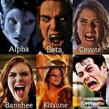 New teen wolf series