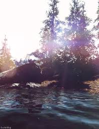 Maybe you would like to learn more about one of these? Latest Nature Gif Gifs Gfycat