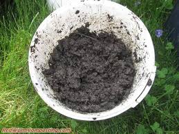 Check spelling or type a new query. Store Bought Manure As Worm Bedding Food Red Worm Composting