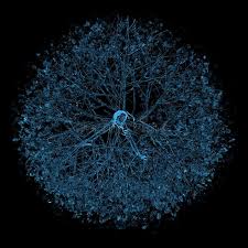 Neural Network 3d Rendered Xray Blue Transparent Sponsored Paid Ad Network Transparent Rendered In 2020 Stock Photography Stock Illustration Transparent
