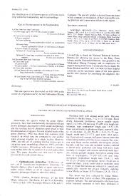 Image result for Pavetta sp. B