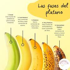 Referencia