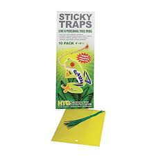 Catchmaster home pest traps are clean, economical and easy to use. 110 Pest Control Traps Ideas Pest Control Traps Pest Control Pests