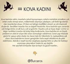 Berna Banu Adli Kullanicinin Kova Burcu Panosundaki Pin Kova Burcu Kova Kadini Burclar