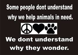 Looking for some great dog quotes? 100 Rescued Is My Favorite Breed Ideas Rescue Animal Rescue I Love Dogs