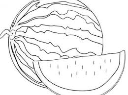Gambar mewarnai buah apel terdapat banyak sekali jenis buah buahan dari mangga anggur jeruk melon apel dan masih. 19 Gambar Sketsa Buah Terlengkap Beserta Manfaatnya