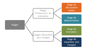 Faire Un Stage En Belgique Euroguidance