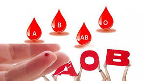 Secara umumnya, darah manusia diklasifikasikan kepada beberapa kumpulan darah seperti a, b, ab dan o. Penasaran Ini Golongan Darah Yang Paling Disukai Nyamuk Berdasarkan Penelitian Tribun Batam