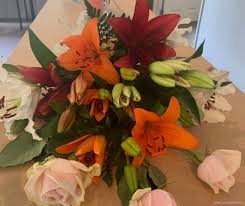 We did not find results for: Funeral Flowers Aoraki Funeral Services
