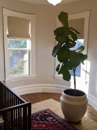 We did not find results for: Natural Woven Shades British Colonial Nursery San Francisco By Lauren Sharp A Smith Noble In Home Designer Houzz