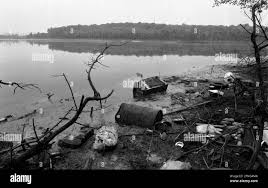 Image result for White 1990 Land O Lakes