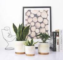 Succulent plantenpotten - Groothandel bloempotten ...
