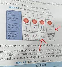 Dual language programs are a form of enrichment education based on over forty years of research showing the advantages of learning a second language through academic content instruction. This Is The Problem Of Dlp Dual Language Program In Malaysia Especially In Exams Malaysia