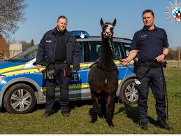 Hauptsächlich betreffen diese den physischen umgang mit anderen menschen. L6ty5kqit 6tkm