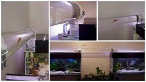 How To Build An Aquarium Water Bridge Aquarium Building Big Family