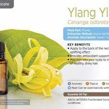 Get creative and add it to clothes and linens or mix them into other solutions for. Doterra Essential Oils Ylang Ylang Essential Oil 15 Ml Bliz Wellness
